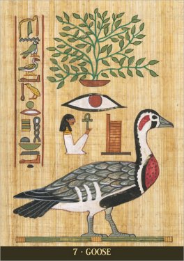 Egyptian Sacred Animals Oracle - 3