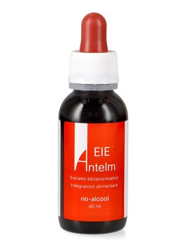 EIE Antelm - 2