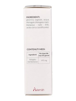 EIE Astragalo - 5