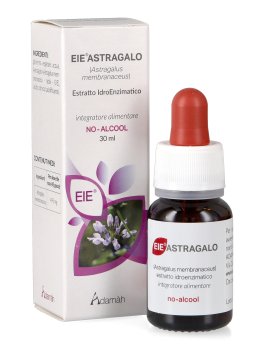 EIE Astragalo - 1