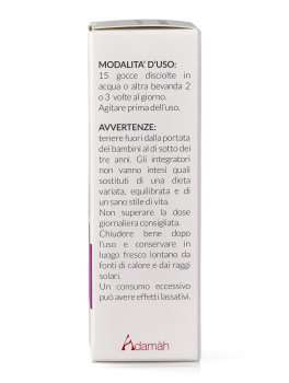 EIE Lampone - 3