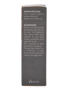 EIE-Lip D3 Plus - 3