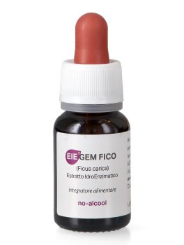 EIEgem Fico - 2