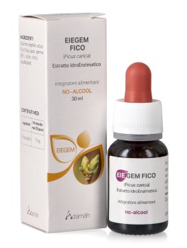 EIEgem Fico - 1