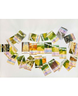 El Camino De Santiago - Gioco da Tavolo - 5