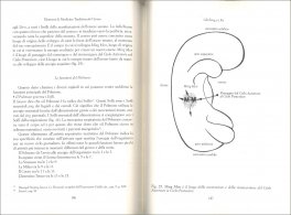 Elementi di Medicina Tradizionale Cinese — Libro - 3