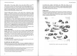 Elixir - n. 14 — Rivista - 3