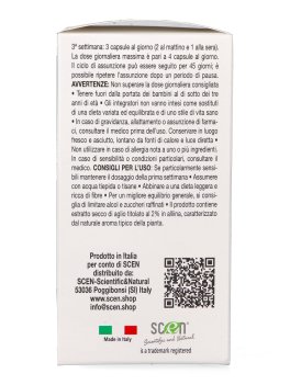 ELKOPUR® V-PhytoClean - Capsule - 6