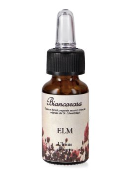 Elm - Fiori di Bach - 1