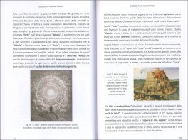 Elogio al Magnetismo — Libro - 3
