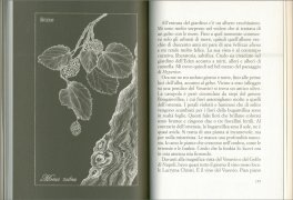 Elogio della Terra. Un Viaggio in Giardino — Libro - 3
