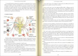EMH - Emotional Memory Healing — Libro - 3