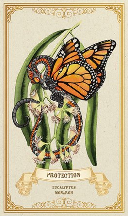 Enchanted Blossoms Empowerment Oracle - 7