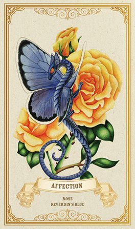 Enchanted Blossoms Empowerment Oracle - 9