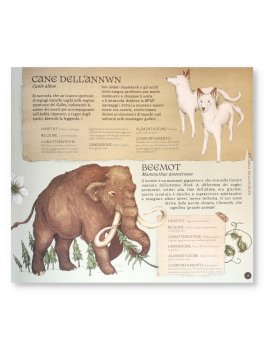 Enciclopedia degli Animali Fantastici — Libro - 3