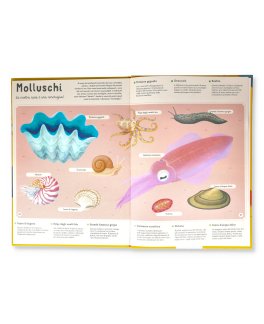 Enciclopedia degli Animali per Piccoli Lettori — Libro - 3