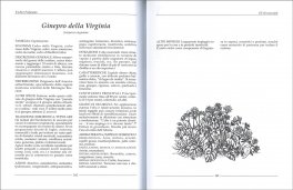 Enciclopedia degli Oli Essenziali — Libro - 3