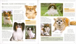 Enciclopedia del Cane — Libro - 4