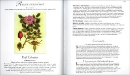 Enciclopedia delle Erbe — Libro - 3