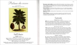 Enciclopedia delle Erbe — Libro - 3
