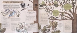 Enciclopedia delle Fate — Libro - 3