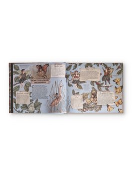 Enciclopedia delle Fate — Libro - 3