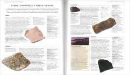 Enciclopedia delle Rocce e dei Minerali — Libro - 3