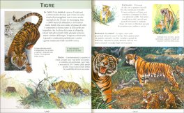 Enciclopedia Illustrata degli Animali — Libro - 2