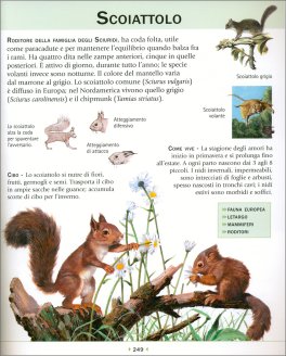 Enciclopedia Illustrata per Ragazzi — Libro - 2