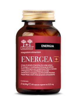 Energea+ - 1