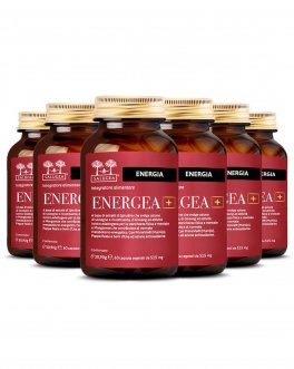 Energea+ - 3