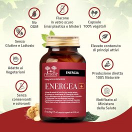 Energea+ - 6