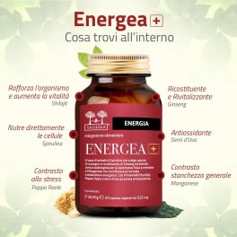 Energea+ - 8