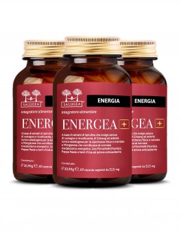 Energea+ - 2