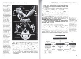 Energetica Craniosacrale — Libro - 3