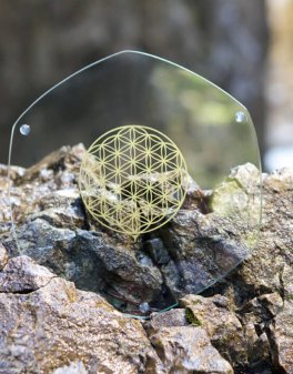 Energy Plate - Piatto Energetico con Fiore della Vita Oro - 2