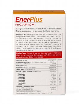EnerPlus Ricarica - 3