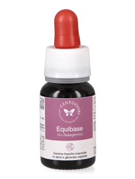 Equibase - Mix Basegemmo - 2
