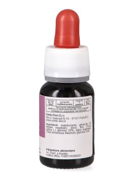 Equibase - Mix Basegemmo - 3