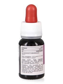 Equibase - Mix Basegemmo - 4