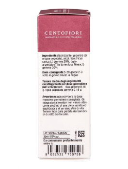 Equibase - Mix Basegemmo - 6