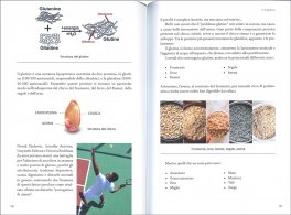 Equilibrio Alcalino — Libro - 3