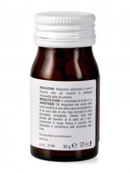 Equiseto - 2
