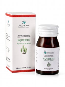Equiseto - 4