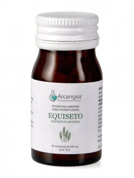 Equiseto - 1
