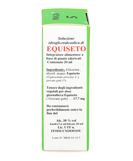 Equiseto - MGS5 - 2