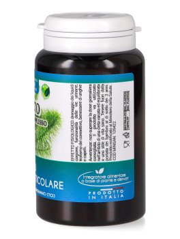 Equiseto - Apparato Osteoarticolare - Capsule - 2