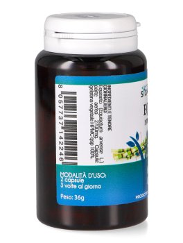 Equiseto - Apparato Osteoarticolare - Capsule - 3