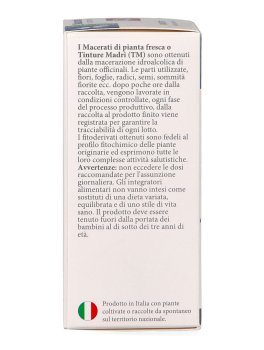 Equiseto - Macerato di Pianta Fresca - 7