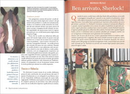 Equitazione Consapevole — Libro - 3